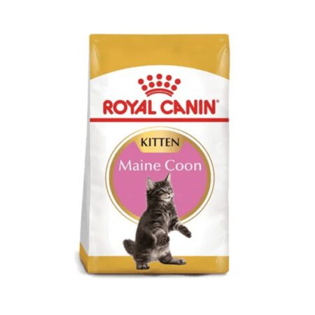 ALIMENTO SECO MAINE COON KITTEN